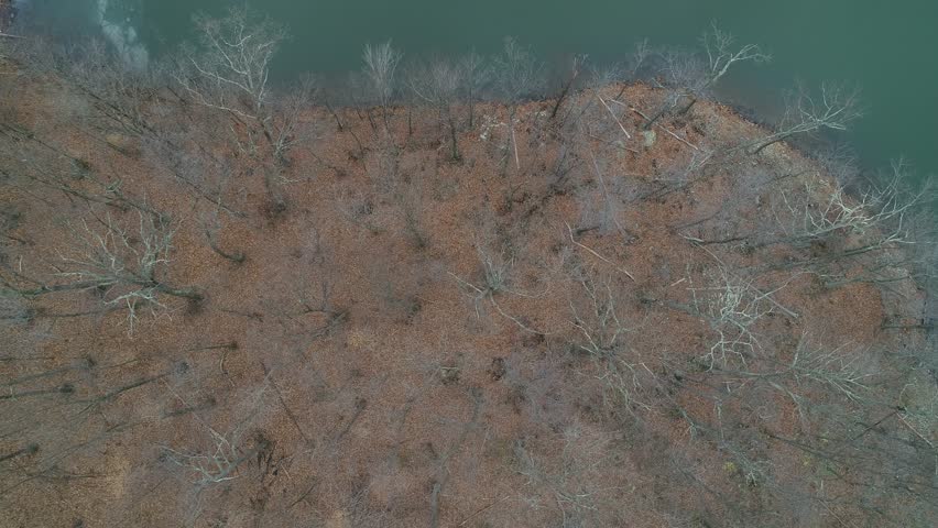 An aerial drone view of a forest next to a lake in Seneca Creek State Park in Germantown, Maryland.