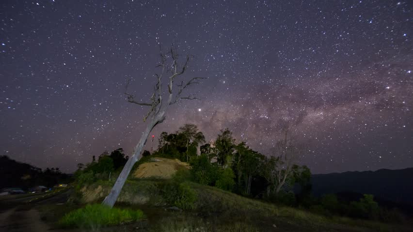 Milky Way Passes Over A dead tree in Sabah, Borneo