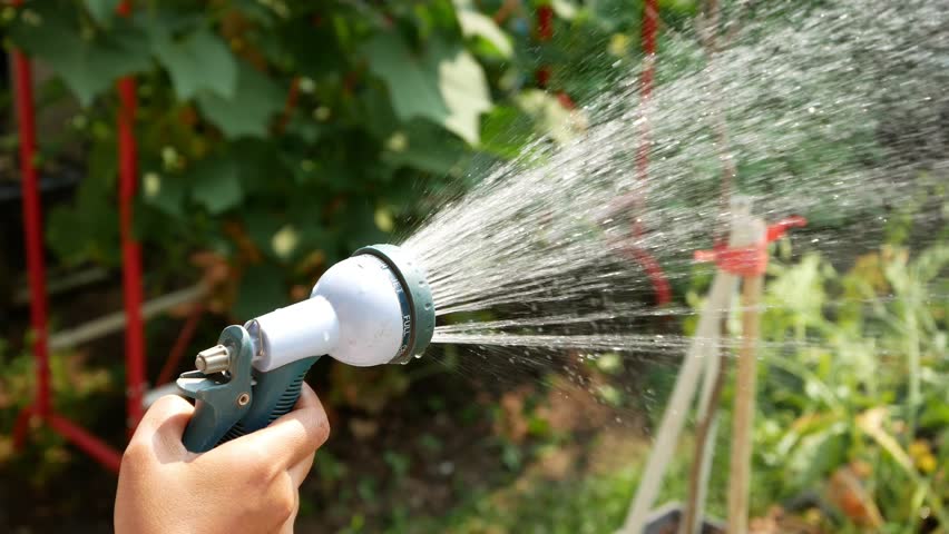 hands watering plant water hose sprinkler Stock Footage Video (100% ...