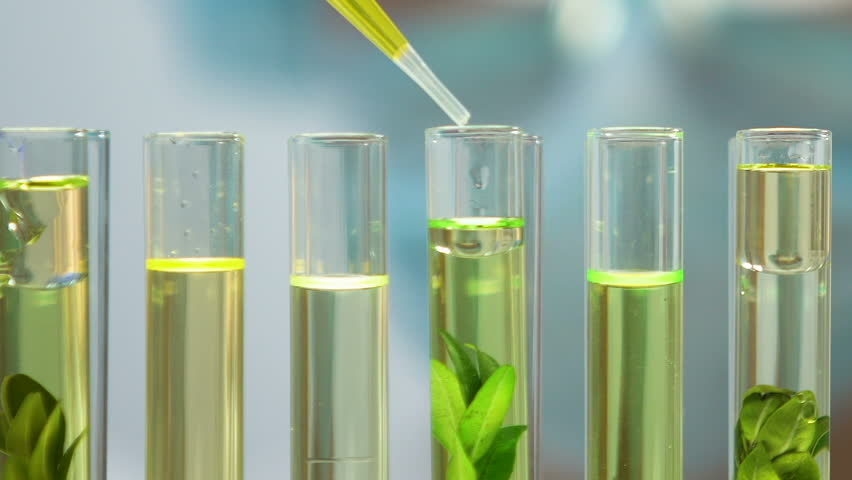 Biologist adding yellow liquid to plant in tube, human impact on environment | Shutterstock HD Video #1025909618