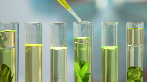 Biologist adding yellow liquid to plant in tube, human impact on environment