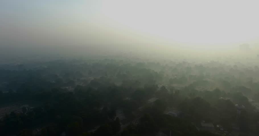 Bombay, India, Extreme fog aerial view over the city, Showing only trees and a bit of a tower