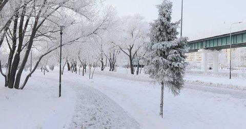Alley and benches in a snowy city park