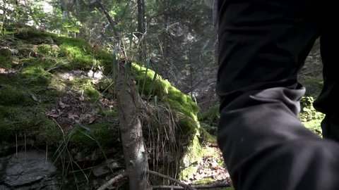 Close up for a man walking through woods and big stones covered with moss. Footage. Rear view of a male in black boots trying to get through boulders in the forest.