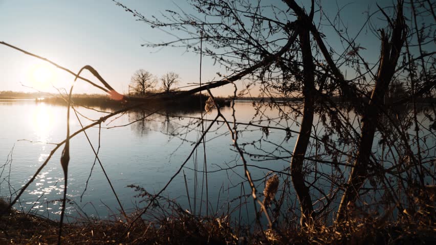 Sunset at the pond. A flock of ducks