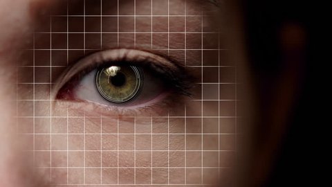 Half female face biometrical scan. Facial recognition. Green eye.