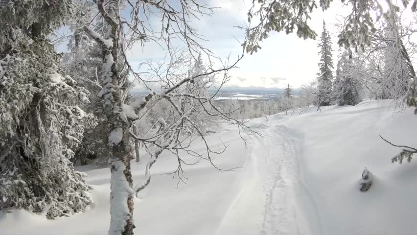 Freeride snowboarding at off piste backcountry. Sunny winter day with fresh white snow riding fast at the forest between trees and slopes. Filmed with gopro first person view. Ylläs Lapland Finland
