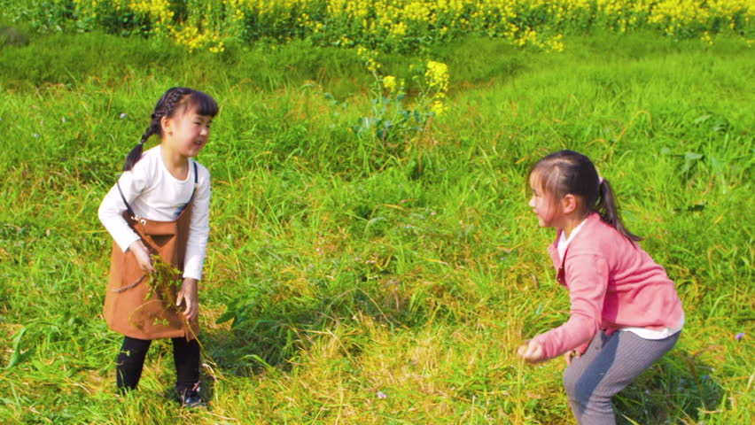 Asian Girls Fighting