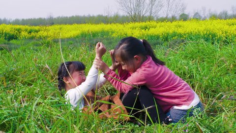 Slow motion of two little Asian girls playing a fighting game in the spring field. two happy Chinese children having fun in the sunny day meadow, Lovely joyful kids in nature clip