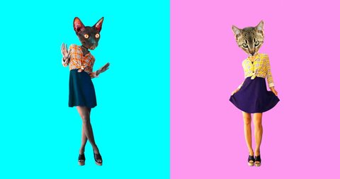 Animation minimal gif art. Set of funny cats