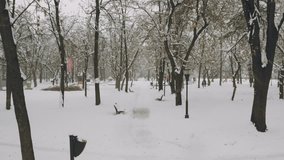 Aerial footage shot in park during winter holidays. The park is full of snow and we can see people in distance walking.