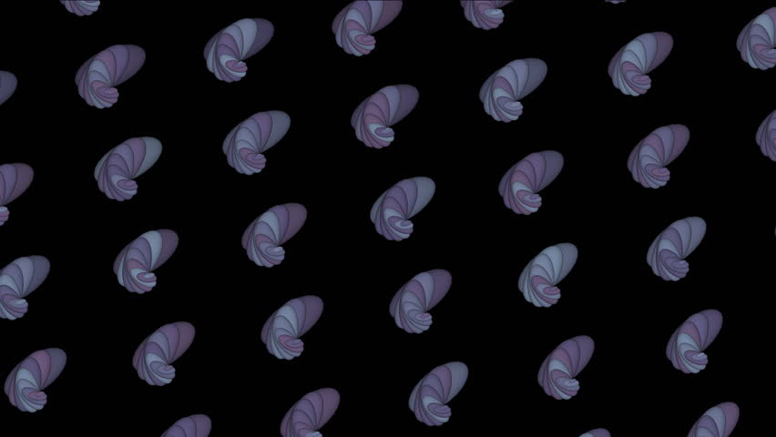 4k Abstract conch shell pattern background.biology microbiology fractals geometric design backdrop. 1096_4k