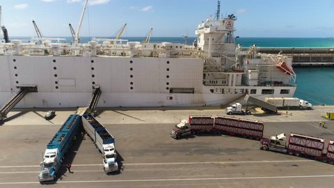 Livestock ship being loaded with cattle for export. Portland, Victoria, Australia - January 28, 2018.