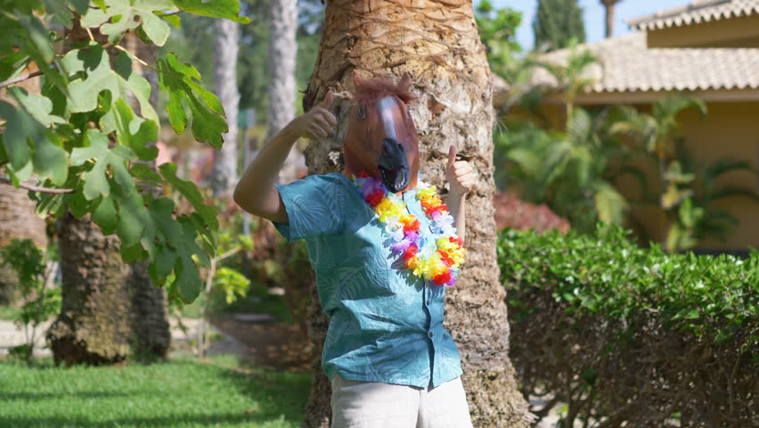 Happiness in a horse mask in 4k slow motion 60fps