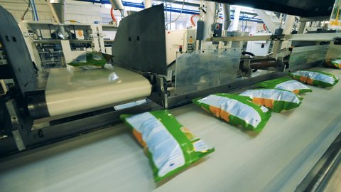 Bags with potato chips transported on a factory conveyor.