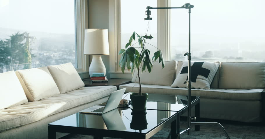 Laptop and plant biodata sensors reading house plant in upscale living room