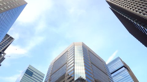 Modern High Rise Office Buildings in City