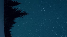 Vertical video. Starry sky in the background of fir trees. Moon rise