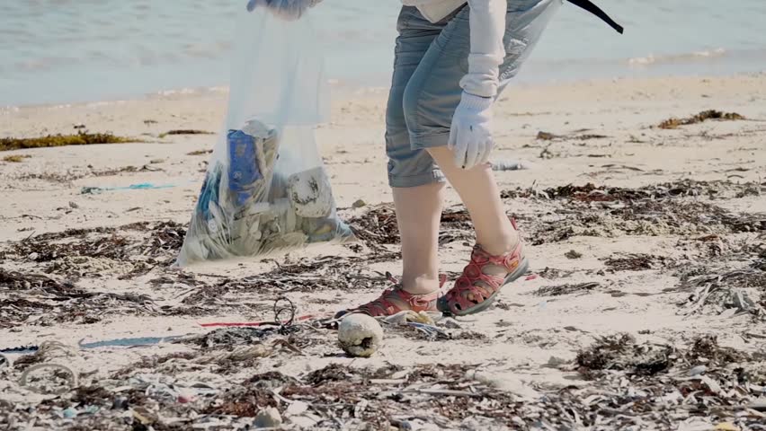 Eco Friendly Volunteer Collecting Garbage on Sea Shore to Plastic Bag. Environmental Pollution and Recycling Concept. Cleaning Beach from Rubbish Royalty-Free Stock Footage #1026100718