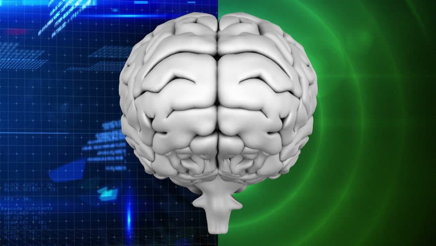 Кислород через мозг. Мозг на сером фоне. Digital Brain серый. Brain stock Footage.