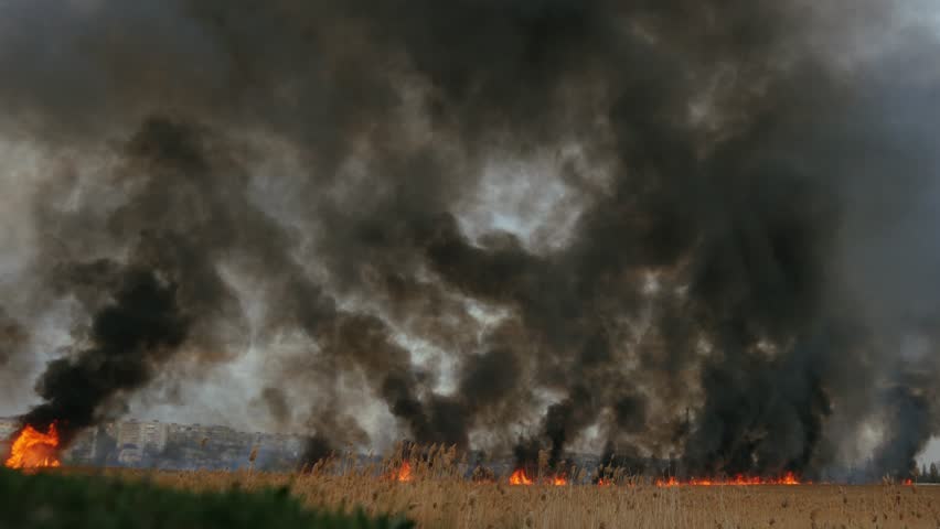 Scary fire on the dried river. Black smoke overlapse the sky. Reed burning.  4k footage
