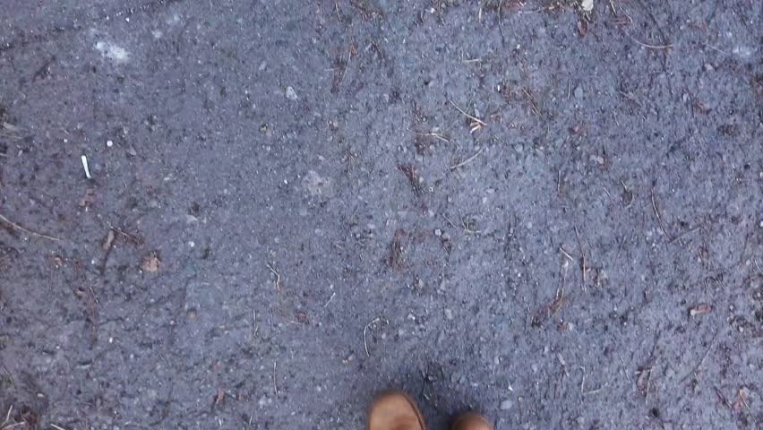 a person in yellow shoes stepping on a stump from a tree inside a triangular border