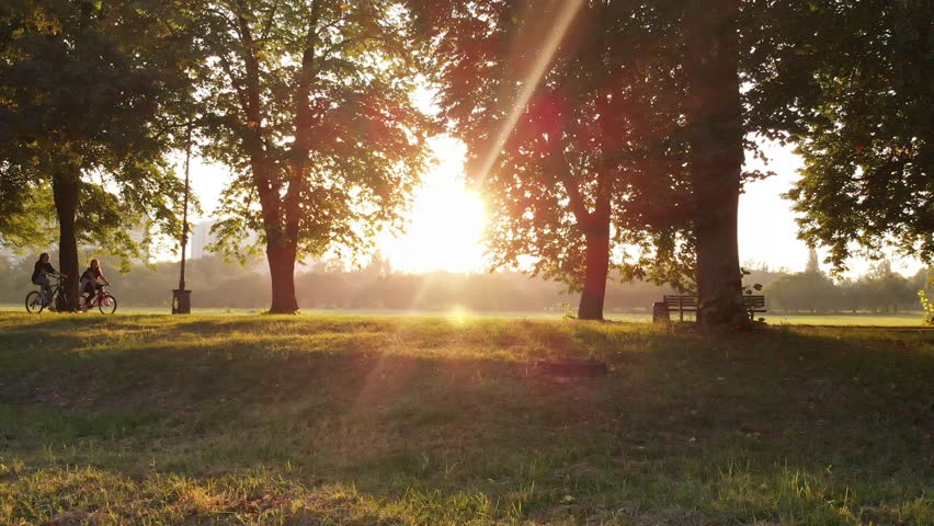 Aerial photography drone view: flying along the forest in soft sunlight. The sun