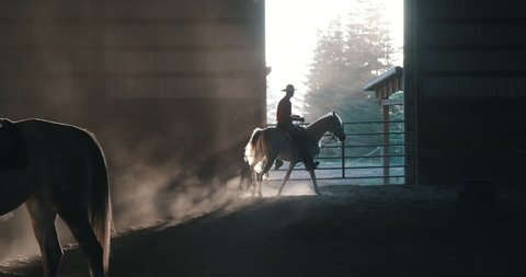 Equestrian horseback rider in arena with sunset dust