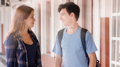 Two Teenagers Talking Each Other School Stock Footage Video (100% ...