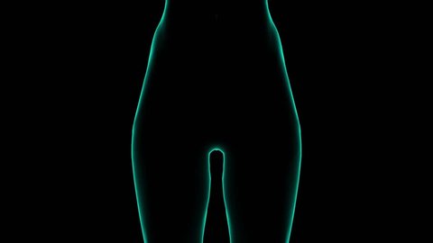 147 Female Anatomy Nude Stock Video Footage - 4K and HD Video Clips