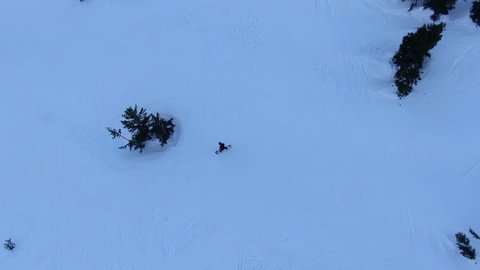 A man is going around the tree on the snowboard, top view