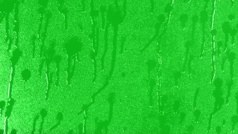 Surface Rainstorm on green background. Realistic rain and water droplets with chroma key green screen background. Animation
