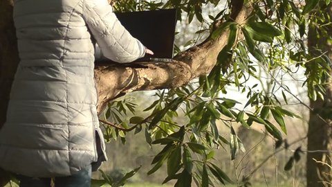 Woman typing into a laptop in forest
