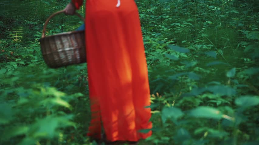 Barefoot young woman in red dress and blue glow with basket walks and collects fresh nettle in the wild forest for organic healthy food or medicine.  Enjoying fresh air and sunny day. 