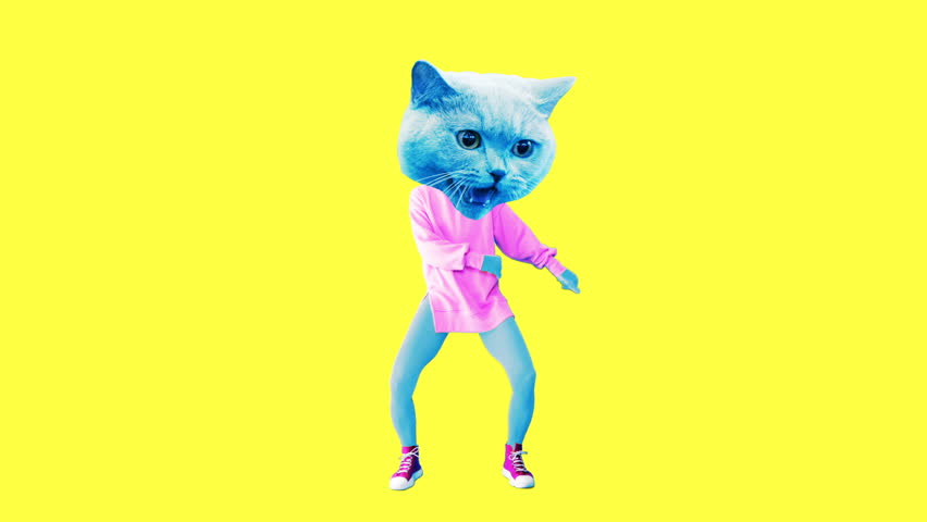 Gif animation art. Funny dancing Cat Royalty-Free Stock Footage #1026275150