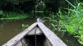 A boat ride through Amazon river, passing green leaves at surface and trees - Powered by Shutterstock - Get 15% off with code: PIKWIZARD15