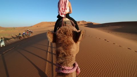POV shot riding a Camel through the Desert. Adventure and travelling concept.