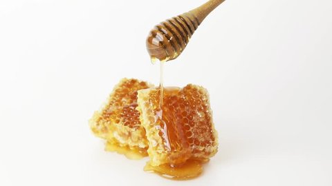 Honey bee dropping to Honeycomb on white background, bee products by organic natural ingredients concept