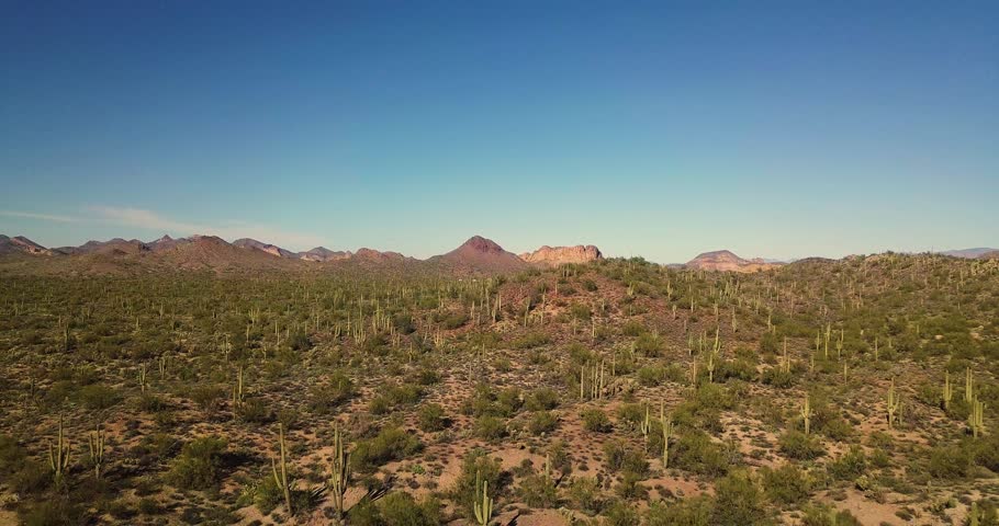 Drone of Sunny warm Arizona desert with lush green bushes and cactus with Mountains in the distance.