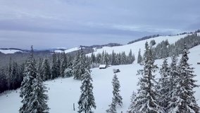 Flying over the Carpathians in winter. Wooden houses of shepherds are on a snowy slope. The roofs of the houses and the branches of the trees are covered with snow. Aerial footage, 4K