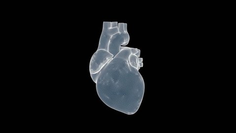 Beating human heart wireframe rotating, seamless loop, Luma Matte attached