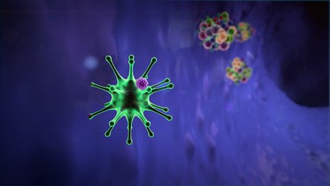 virus and antibodies, antibodies kills the viruses, macrophage and virus, Medical video background