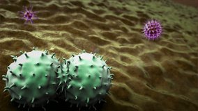 ,  macrophage kill the Cancer Cell, macrophage kills the viruses, 3d rendered  macrophage and Cancer Cell, inside human body, Medical video background