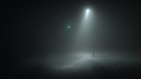 Creepy park at night street lights disappearing into thick fog Reykjavik Iceland winter night