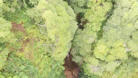 Drone shot of a waterfall, named "Salto do Rosal", in the Azores, São Miguel Island.