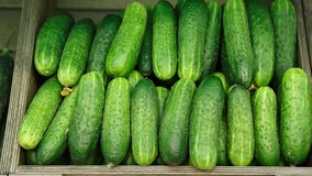 Footage of green fresh cucumber in wooden box on sale at grocery food store.Buy natural ingredients for healthy eating.Close up,overhead video shot