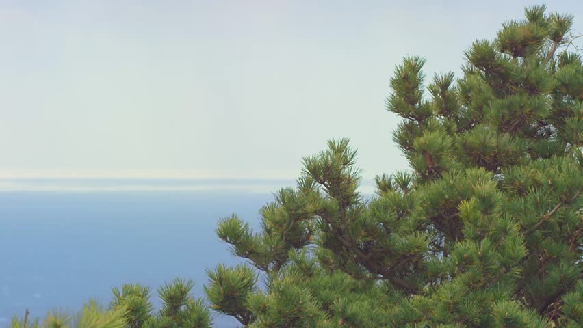 Scenic footage from the culdera of the Seonsang Volcano on Jeju, an island of South Korea.