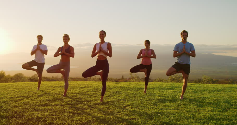 Yoga class at sunset, happy diverse group of young people practicing yoga tree pose together, stretching health and wellness Royalty-Free Stock Footage #1026372254