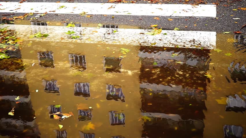 Trees and modern buildings reflected in a puddle on the asphalt, with autumn leaves after a rain