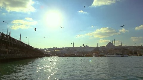 Seagulls flying over the sea, against the backdrop of the old city. Lots of seagulls flying over Bosphorus. Traveling destinations, tourism concept